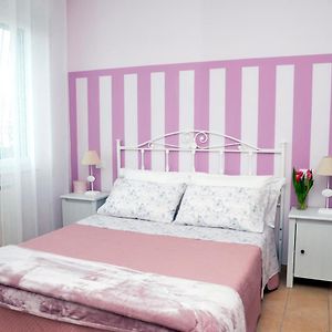 Il Ciliegio B&B